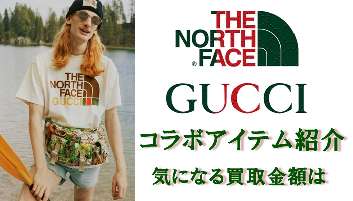 GUCCIノース.JPG