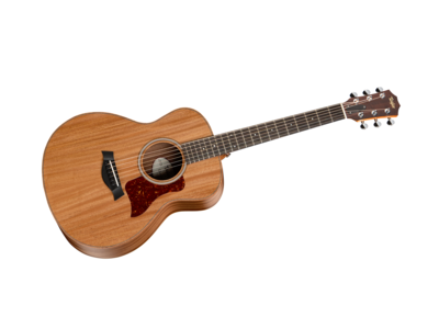 Taylor GS-Mini-e.png