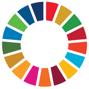 Sdg_icon_wheel_rgb-290x290.png