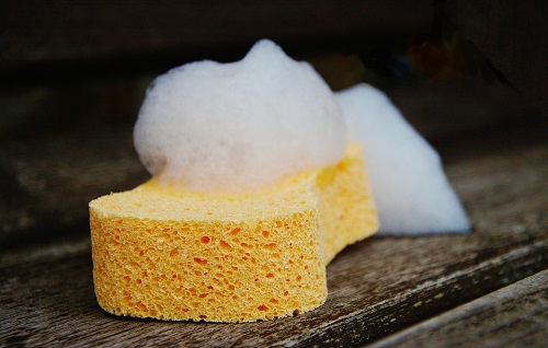 sponge-1976828_960_720.jpg