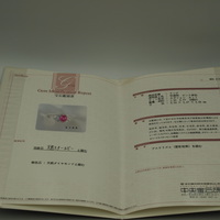 1200329928101769 鑑別書1.JPG