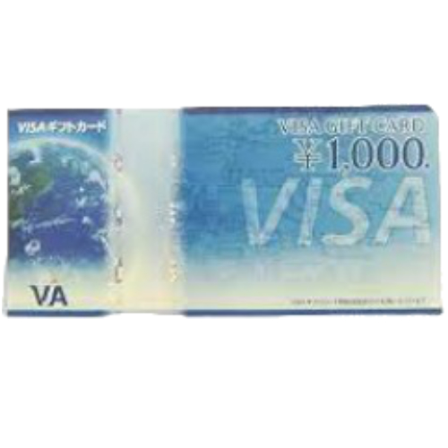 VISA1000.jpg