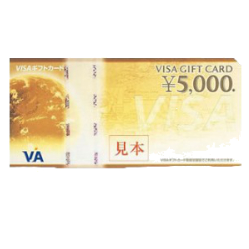 VISA5000.jpg